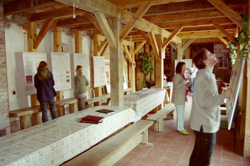 photo.jpg